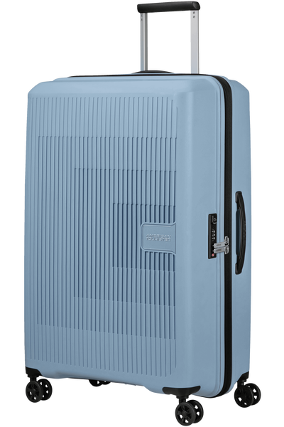 Check-in luggage