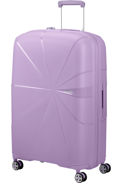 Check-in luggage