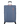 Cloudrider L Large Check-in