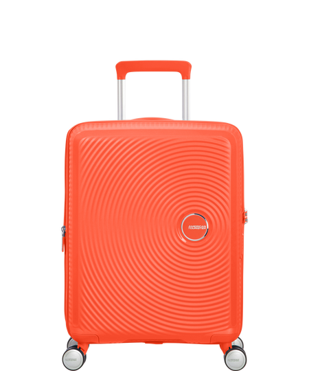 American tourister curio colours hot sale