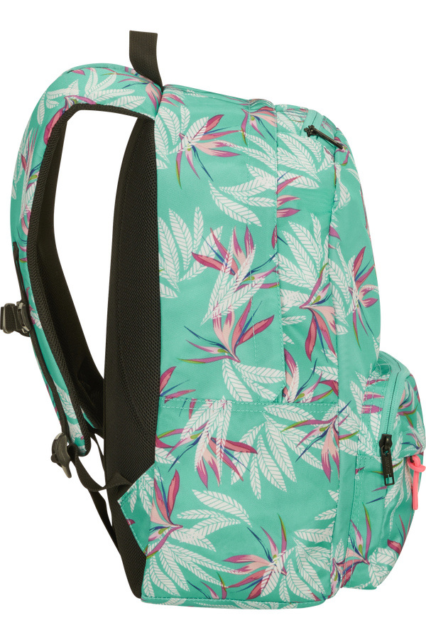 Urban Groove Backpack American Tourister UK
